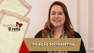 Explica Direito Filiação Socioafetiva  2019 [upl. by Anirehtac]